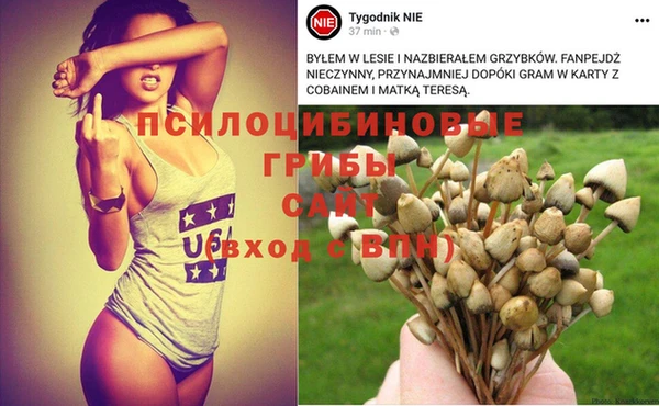 трава Калининец