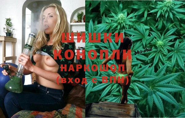 apvp Коряжма