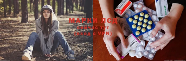 apvp Коряжма