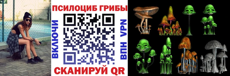 Купить  Мончегорск  Псилоцибиновые грибы мицелий 
